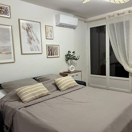 *La Pampa, Studio, Parking, Clim, Hopitaux/Fac* Montpellier Buitenkant foto