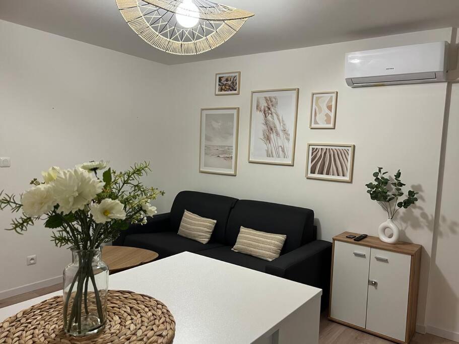 *La Pampa, Studio, Parking, Clim, Hopitaux/Fac* Montpellier Buitenkant foto