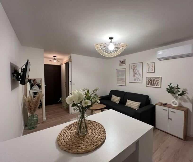 *La Pampa, Studio, Parking, Clim, Hopitaux/Fac* Montpellier Buitenkant foto